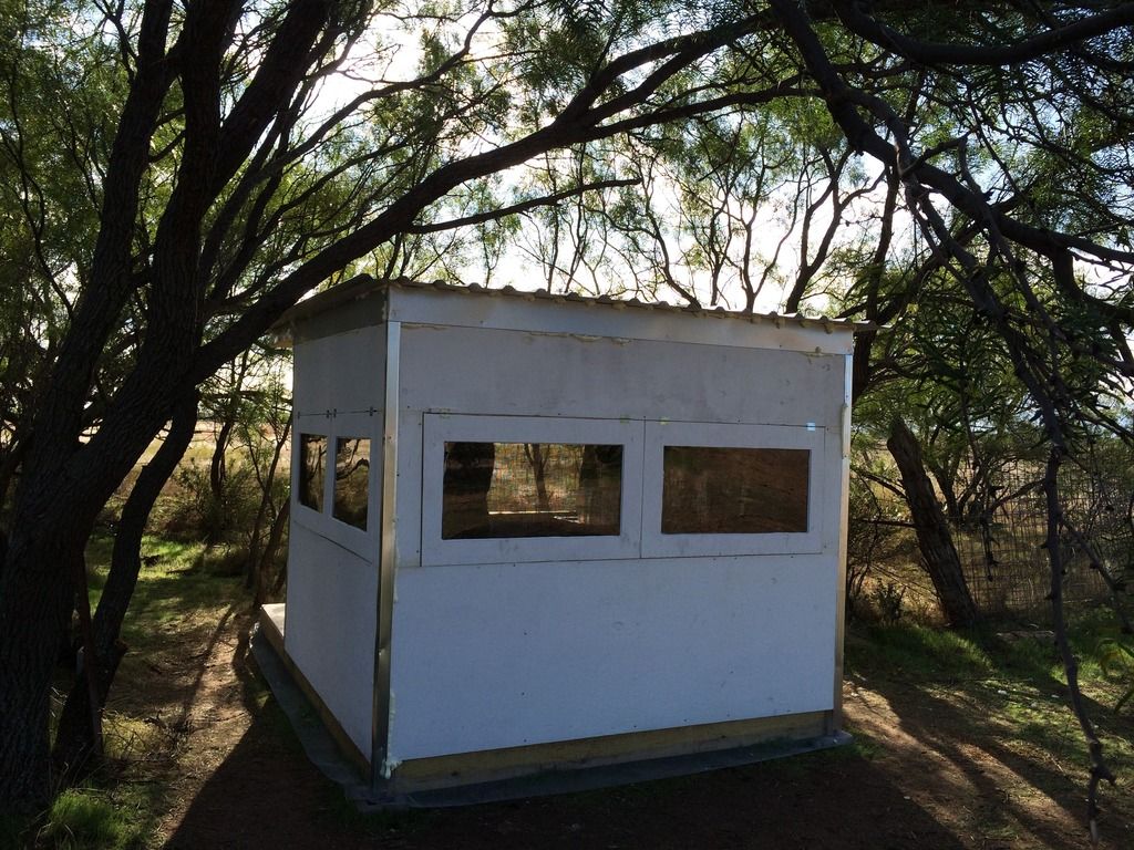 Hunting blind/cabin Survivalist Forum