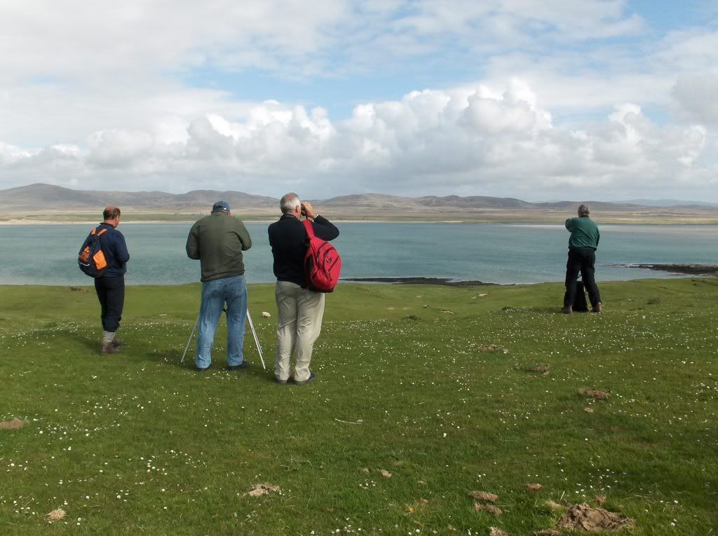 Birding on Islay