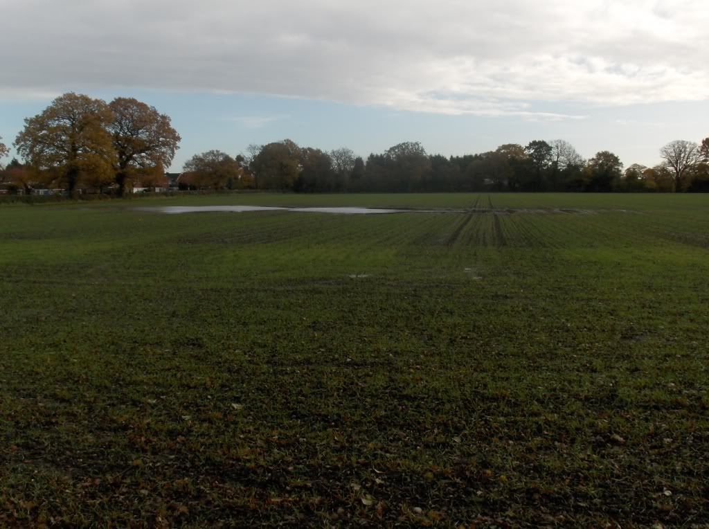 The flooded field