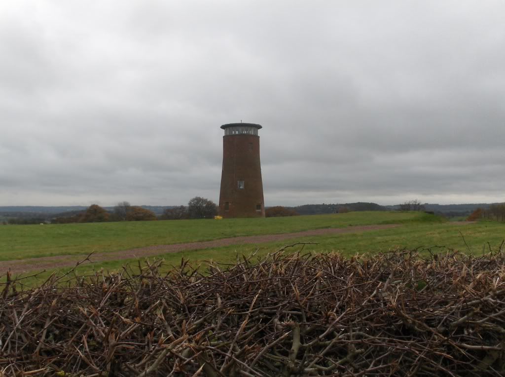 Wythall bird observatory