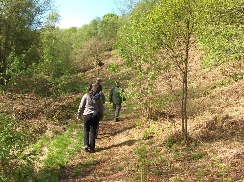 The bloggers head off in pursuit of a vocal, but elusive tree pipit