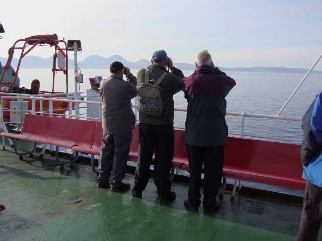 Birding from the ferry