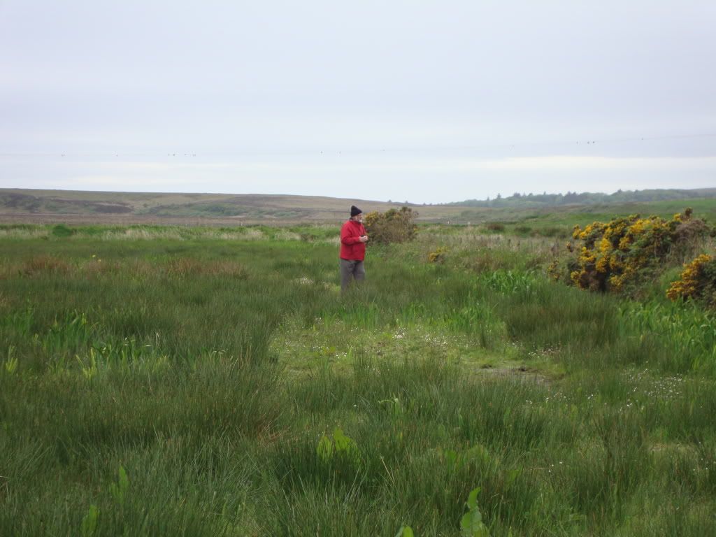 Matt seeks the elusive corncrake