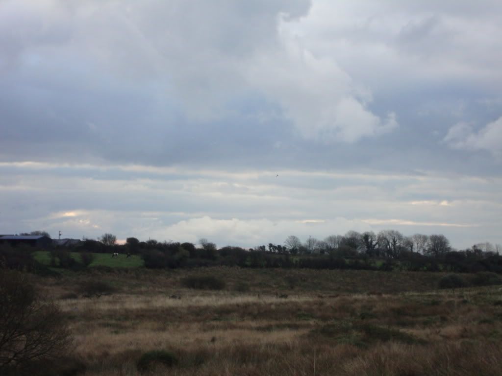 A distant red kite near the magic field