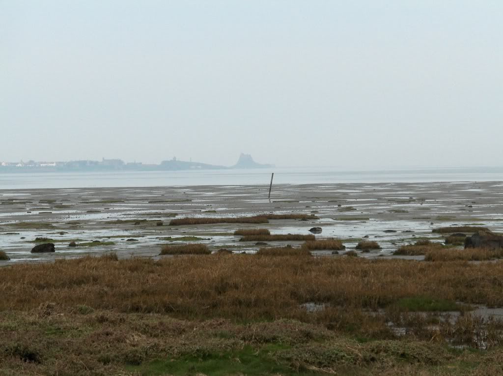 Looking out to Holy Island