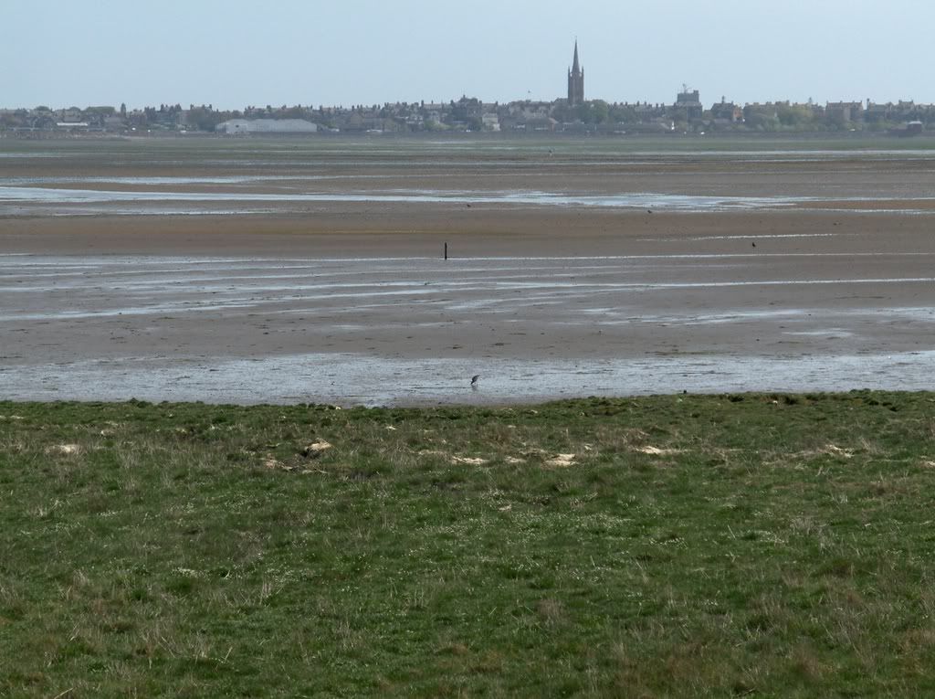 A deserted Montrose Basin