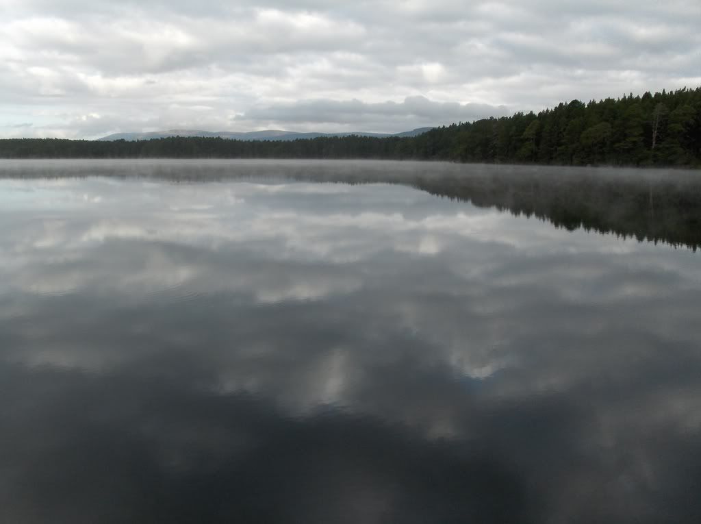 Mist over Loch Garten