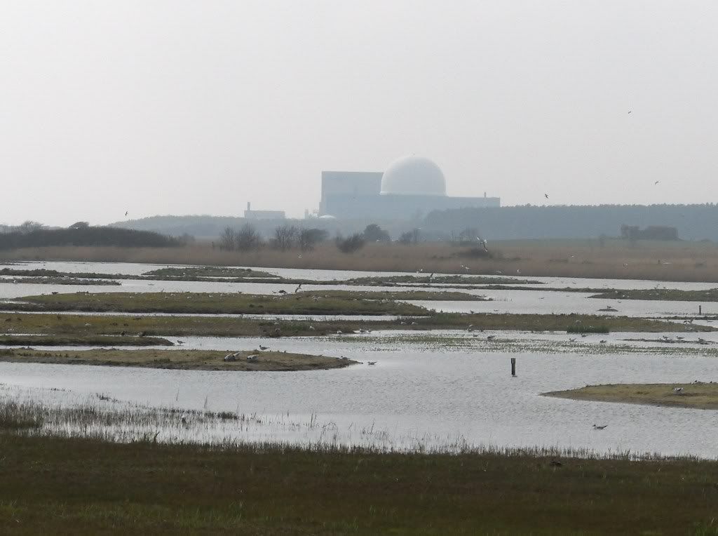 Minsmere