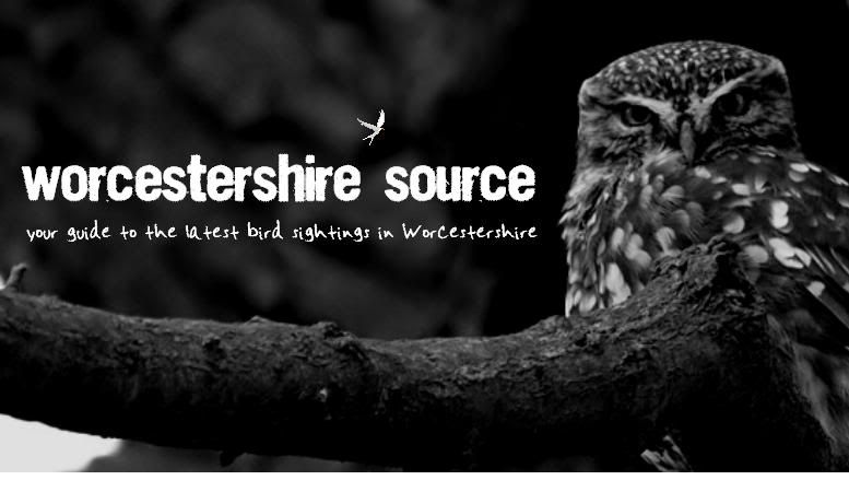 Worcestershire Source