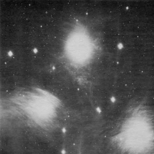 Grouper-Alien-Observer-1.jpg
