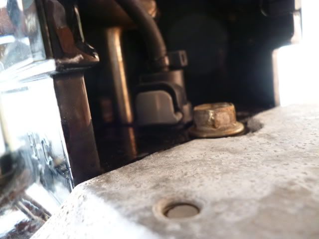 P1030002.jpg