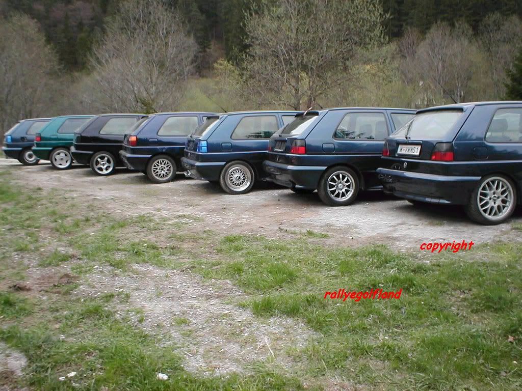 7_x_Rallye_Golf_back_view_different.jpg