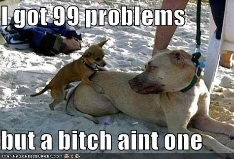 99problems.jpg