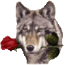 wolf.gif