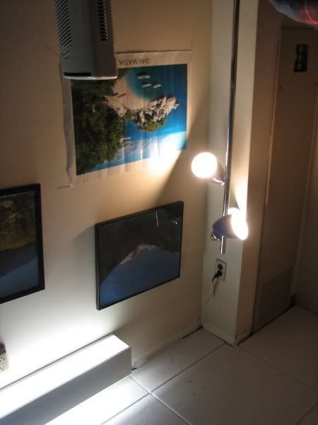 5030636348ys8.jpg