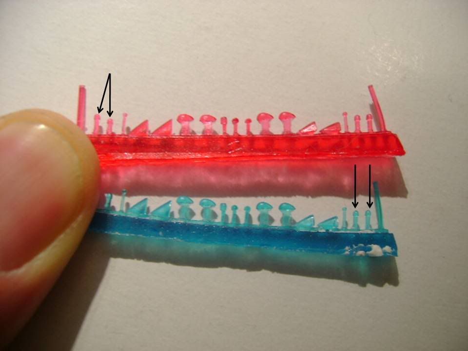 230213.jpg