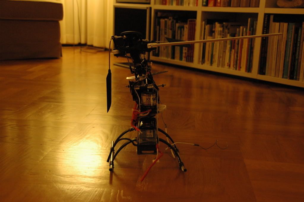 DSC_0013.jpg
