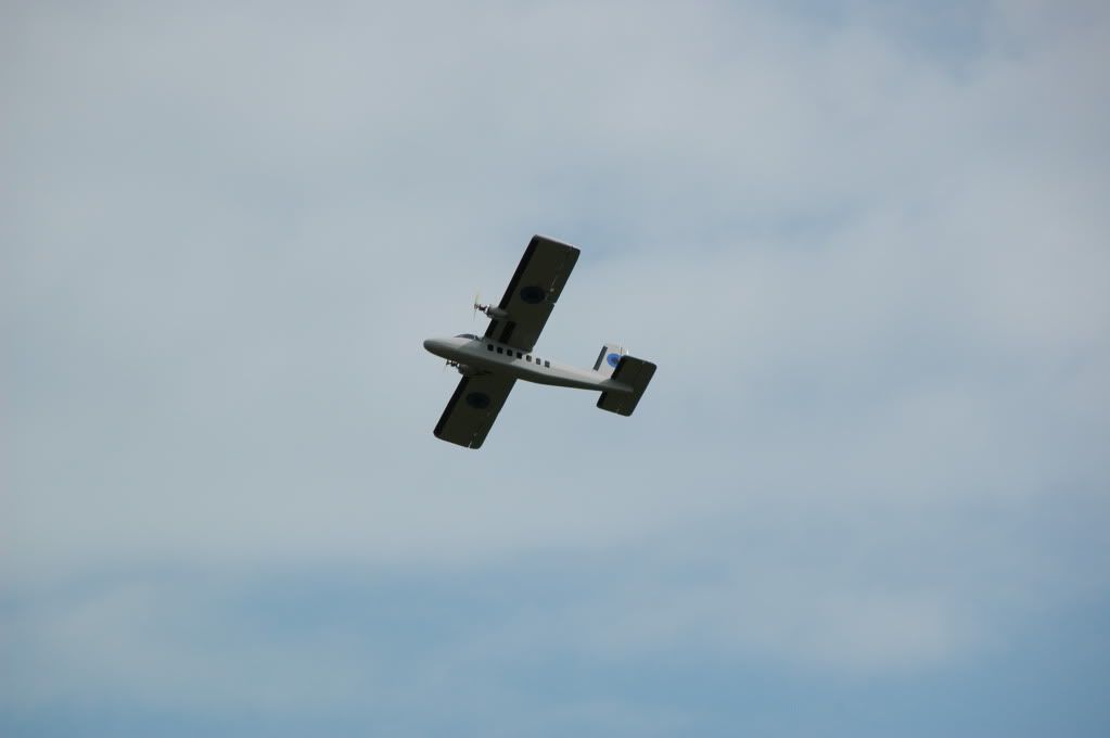 DSC_0080.jpg