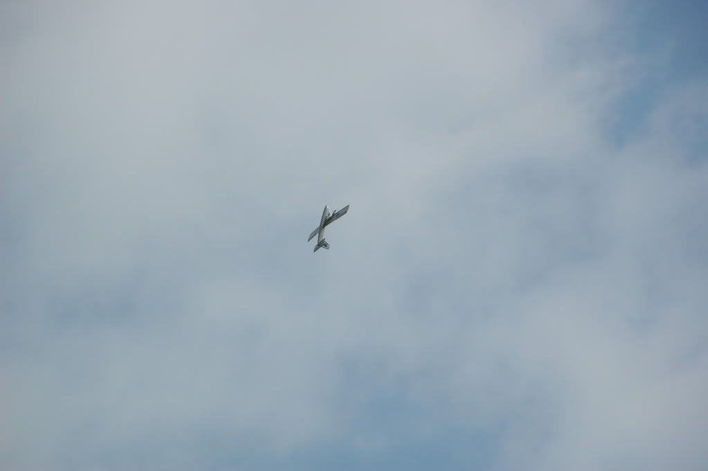 DSC_0084.jpg