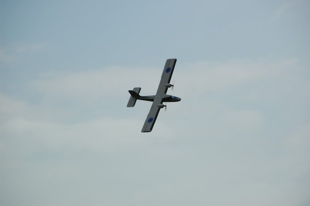 DSC_0100.jpg