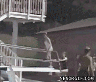 Gifs Gifs