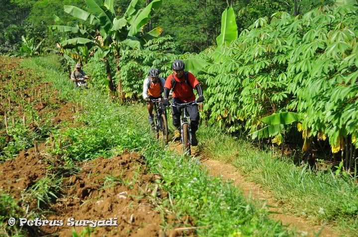 kebon cabe kebon cabe