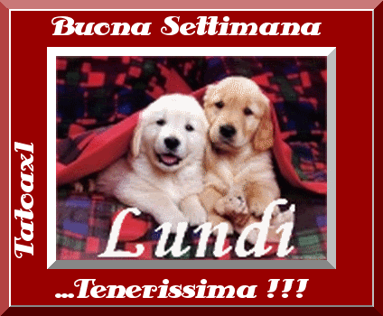 Buona settimana Pictures, Images and Photos