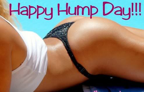 humpday Pictures, Images and Photos