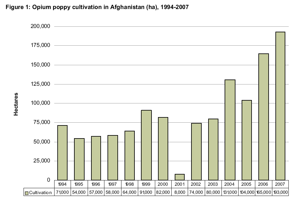 AfghanPoppyCultivation
