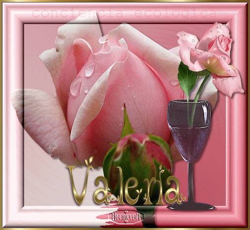 vale.png picture by imanprincess