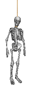 skeleton Pictures, Images and Photos