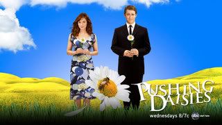 pushing daisies