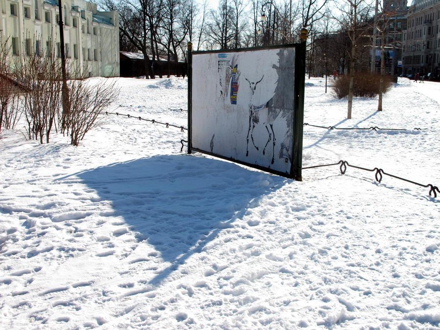 ВЕСНА? ВЕСНА!