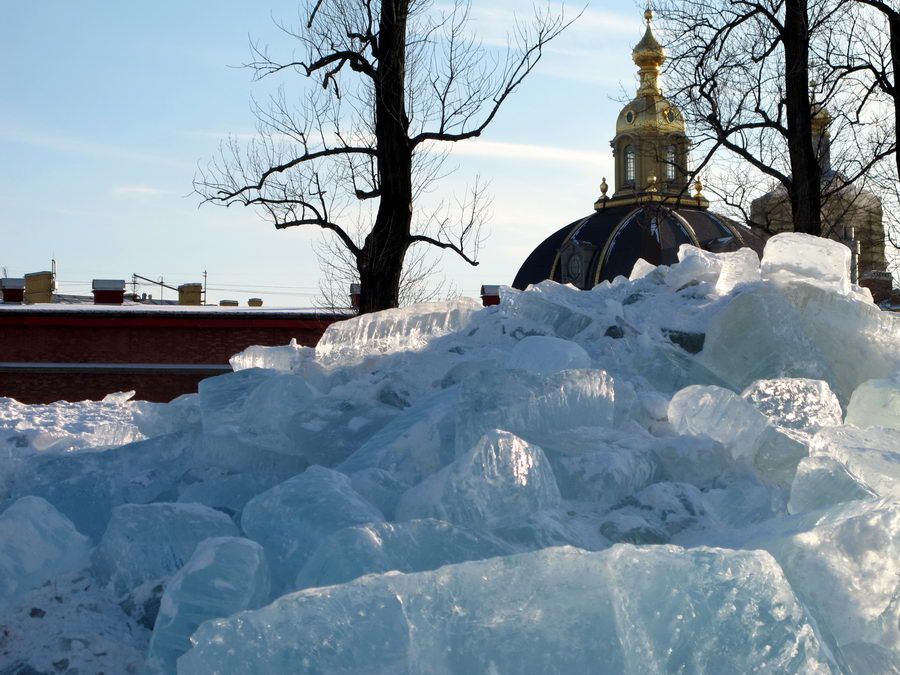 ВЕСНА? ВЕСНА!
