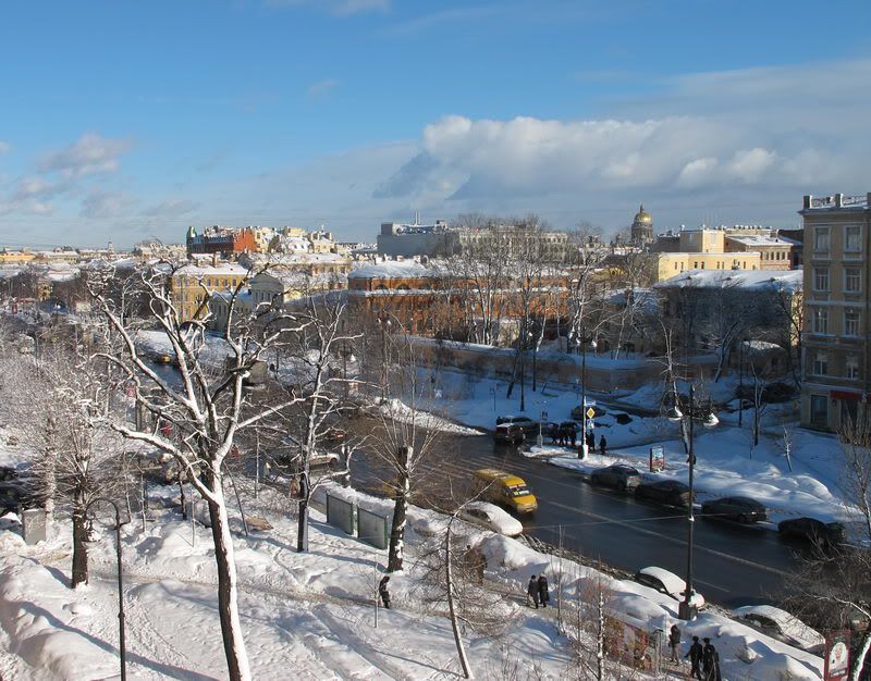 МОИ ТЮЛЬПАНЫ