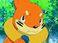 [PokeCommunity.com] ^-^ The Buizel/ Floatzel Fanclub! ^-^