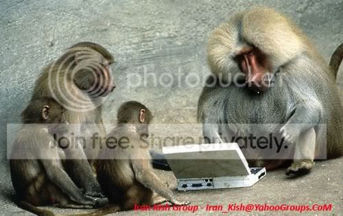 Funny_Animals_281_29.jpg