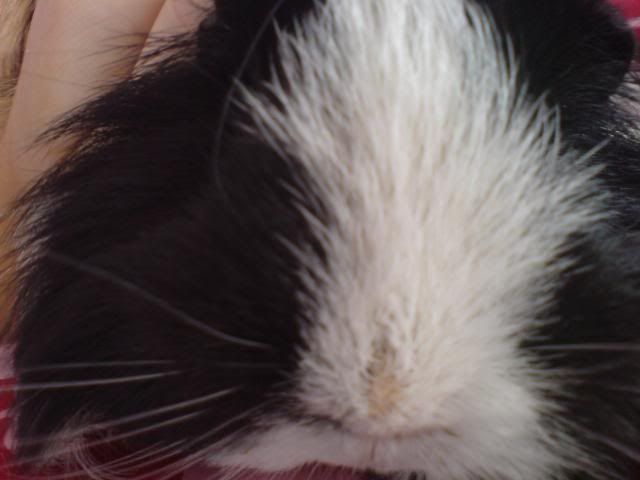 DSC03891.jpg