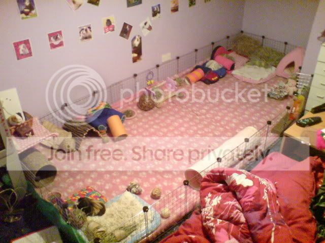 DSC06054.jpg
