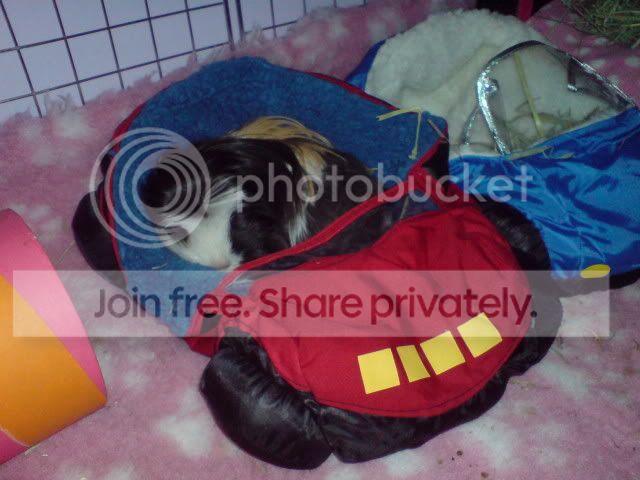 DSC06077.jpg
