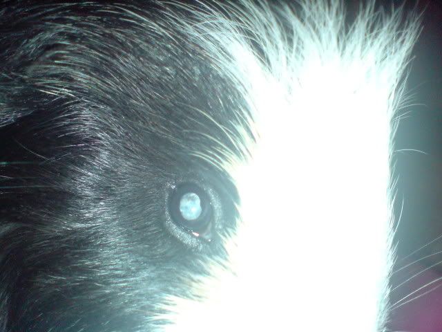 Cataracts004.jpg