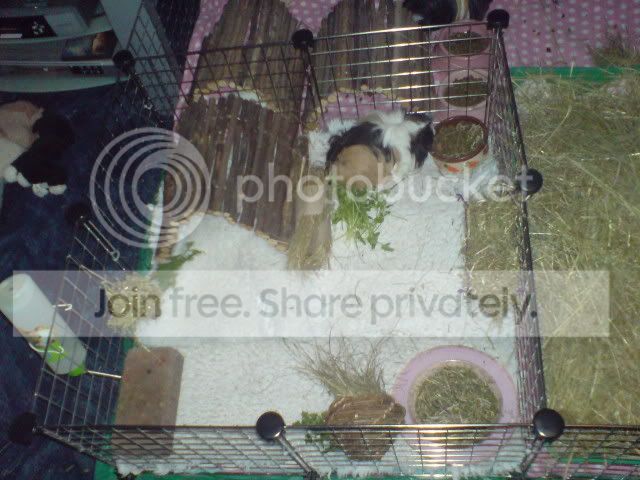 DSC01237.jpg