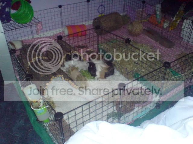 DSC012383.jpg