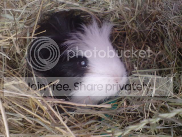 DSC01309.jpg