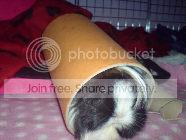 DSC01511.jpg