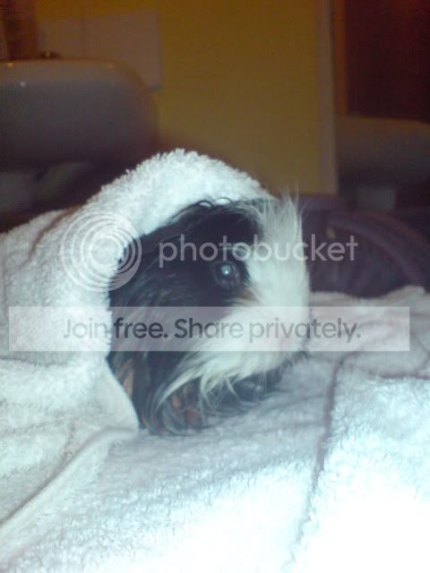 DSC01673.jpg