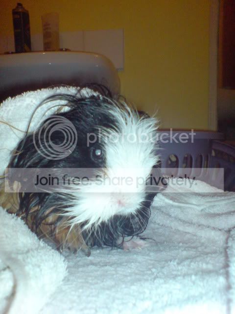 DSC01674.jpg
