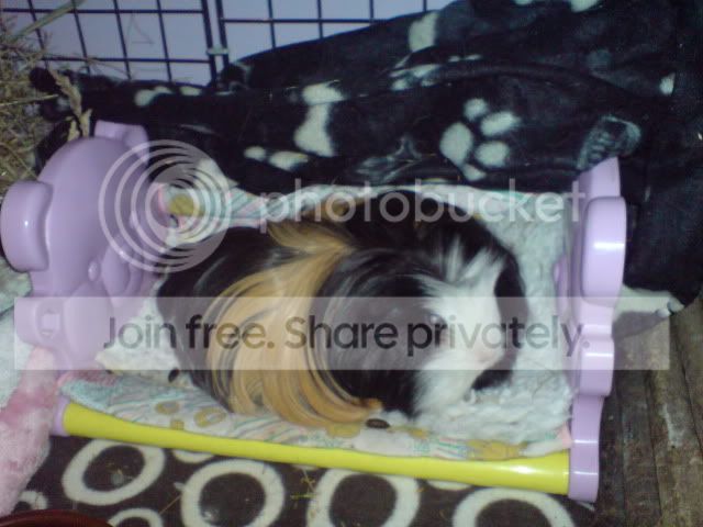 DSC01958.jpg