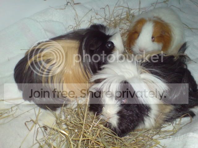 DSC01962.jpg