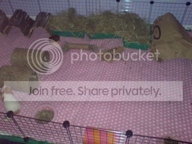 DSC02134.jpg